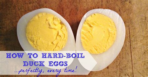 Perfect Hard Boiled Duck Eggs .